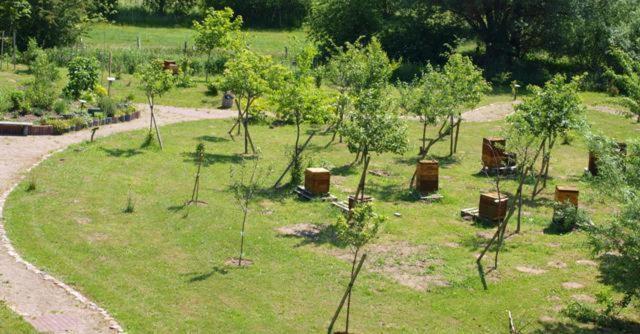Landhotel Zum Honigdieb Ribnitz-Damgarten Ngoại thất bức ảnh